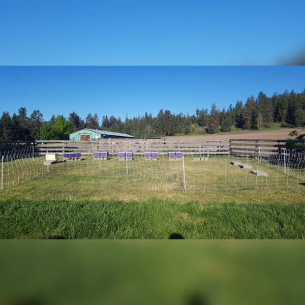 Bee Keeping Electric Fence