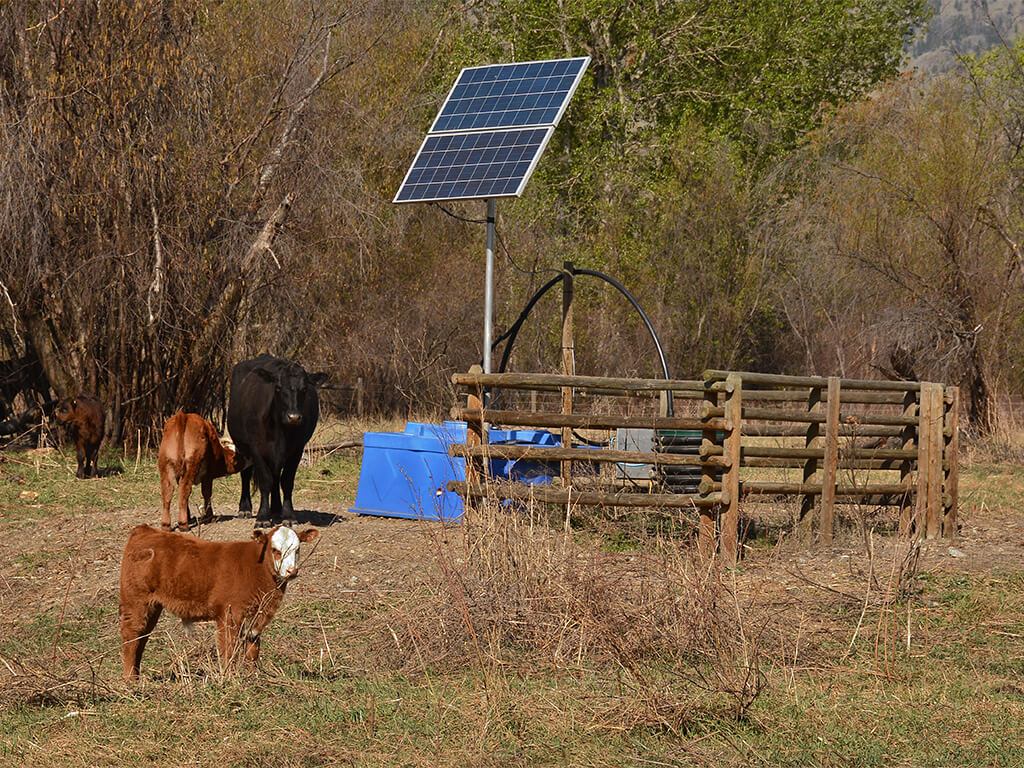 Okangan Fence Supplies Livestock Watering System